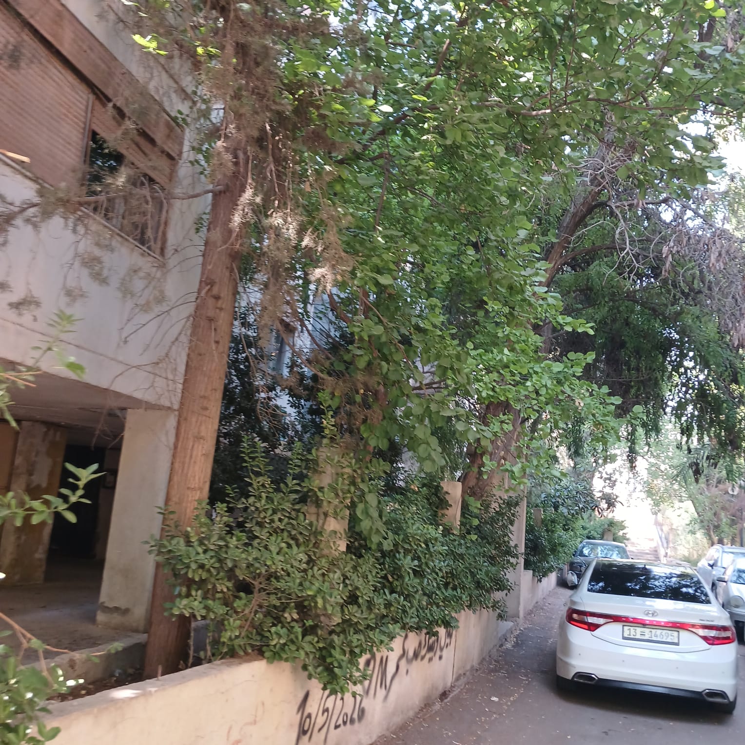 للايجار بمنطقة: مشروع دمر